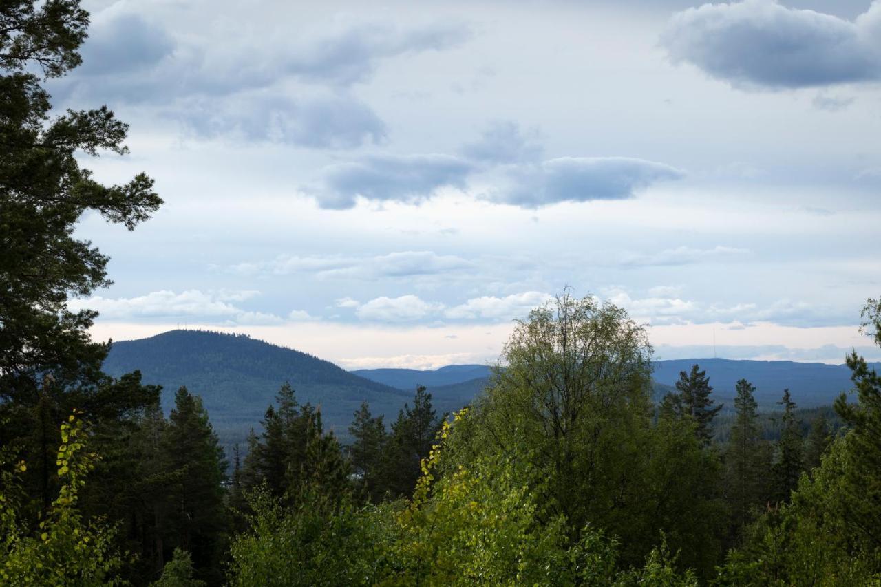 Asengarden & Gaestgiveri Åsen